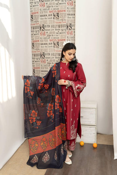 AIRJET DHANAK EMBROIDERED COLLECTION